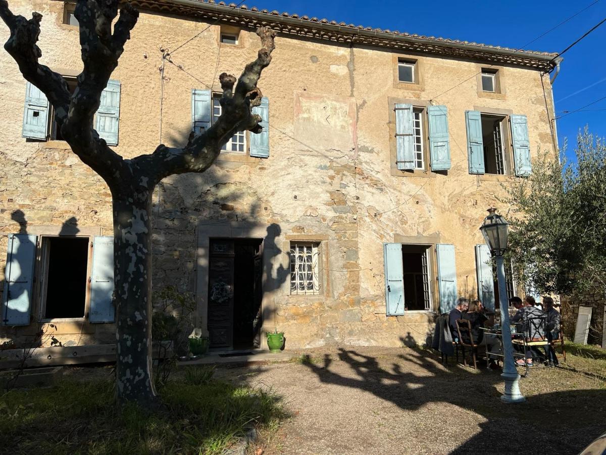 Les 3 Platanes Bed & Breakfast Conilhac-Corbières Exterior foto